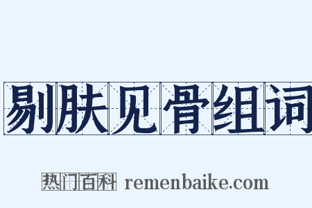 剔肤见骨组词是什么意思的图片